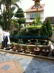 serangoon-garden-estate photo thumbnail #11